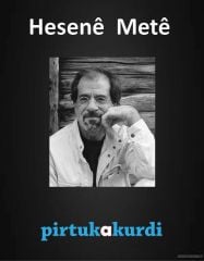 Seta Hesenê Metê