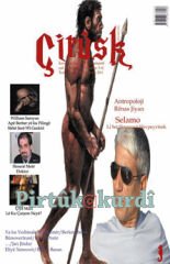 Çirûsk 13