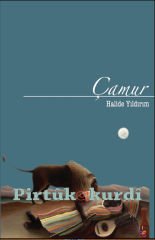 Çamur