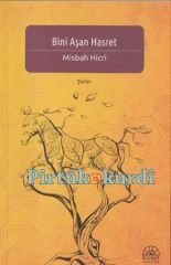 Bİni Aşan Hasret