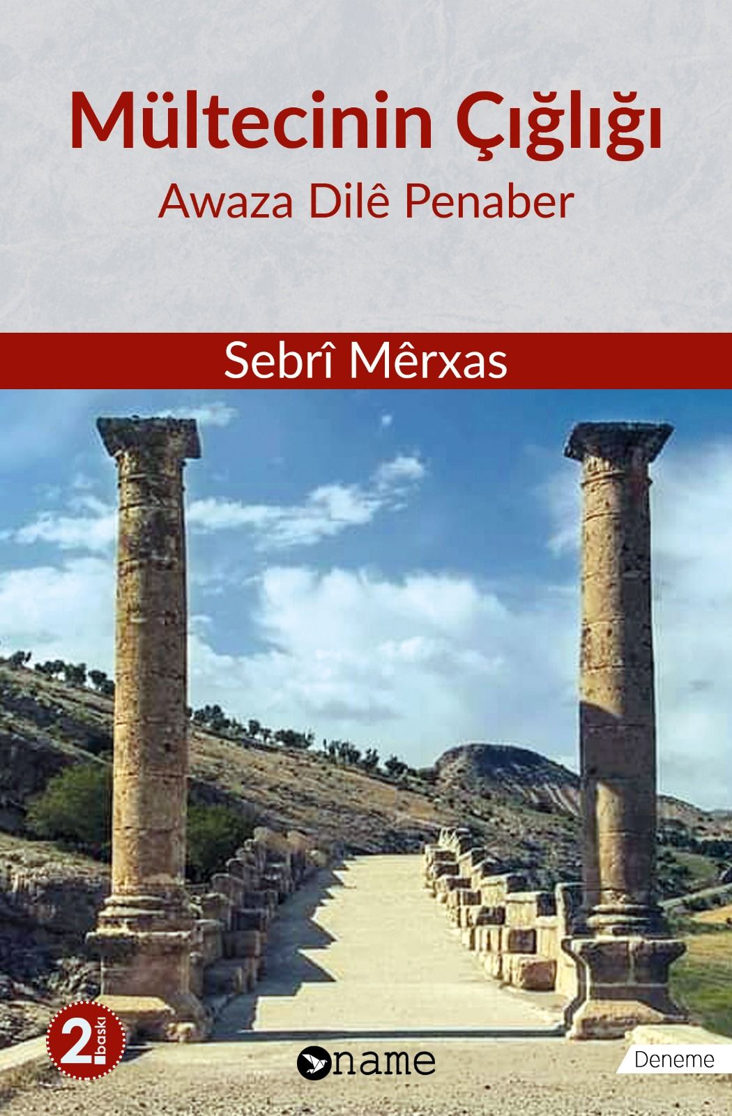 Mültecinin Çığlığı