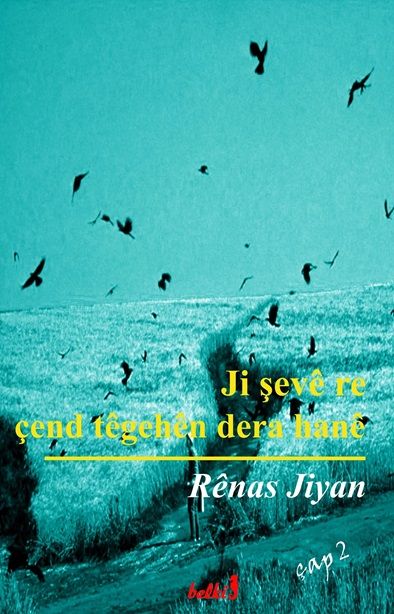 Ji Şevê Re