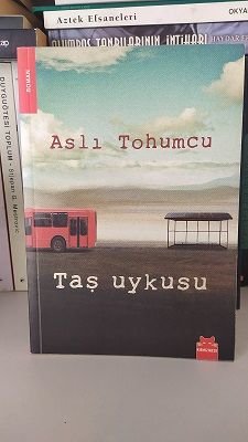 Taş Uykusu