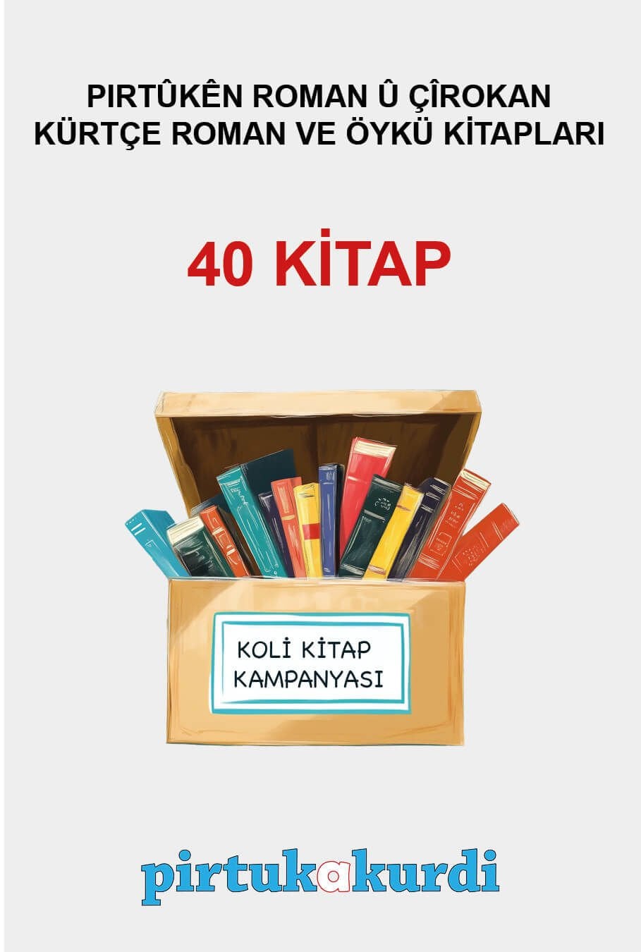 Kürtçe Roman ve Hikaye Kitapları - Koli Kitap Kampanyası (40 KİTAP)