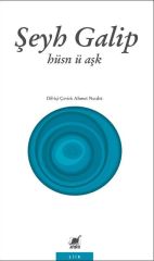 Hüsn-ü Aşk