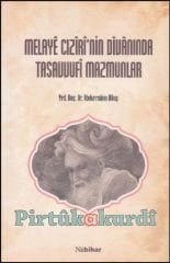 Melayê Cizîrînin Diwanında Tasavvufi Mazmunlar