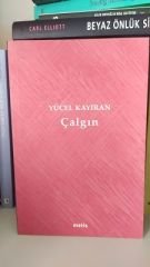 Çalgın